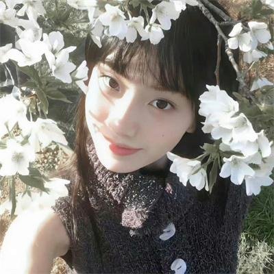 四大名捕重出江湖